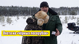 На Южном Урале лесная охрана перешла на особый режим