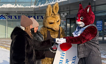 Кенгуру и рысь призвали челябинцев дарить женщинам заботу и любовь