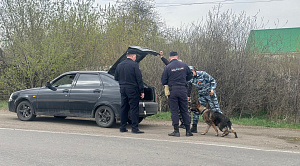 2 тысячи полицейских устроили облавы на нарушителей по всей Челябинской области