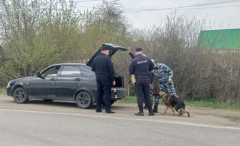 2 тысячи полицейских устроили облавы на нарушителей по всей Челябинской области