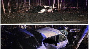 Девушка устроила ДТП с погибшим и тремя пострадавшими под Снежинском