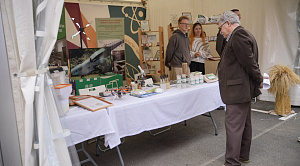 Молодые россияне стали охотнее идти в науку