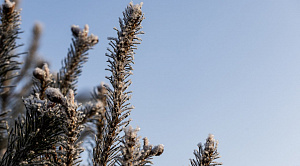 В Челябинской области резко потеплеет к воскресенью