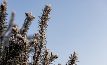 В Челябинской области резко потеплеет к воскресенью