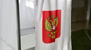 К середине второго дня выборов в Челябинской области явка на ДЭГ достигла 74%