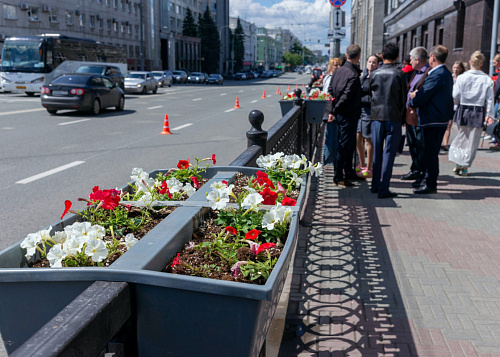 Челябинск начали украшать цветами из уникальной теплицы