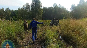 Ягодные поляны заманили пенсионера в глухую чащу под Кыштымом