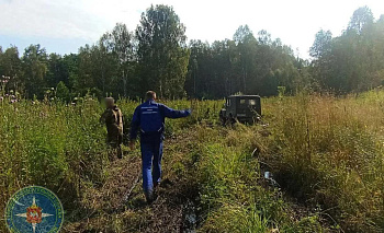 Ягодные поляны заманили пенсионера в глухую чащу под Кыштымом