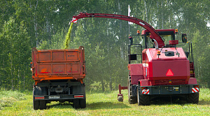 В Челябинской области назвали самые прибыльные профессии для новичков