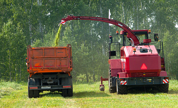 В Челябинской области назвали самые прибыльные профессии для новичков