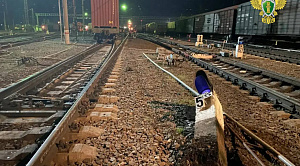 Вагон со стройматериалами сошел с рельсов на станции в Челябинской области