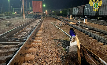 Вагон со стройматериалами сошел с рельсов на станции в Челябинской области