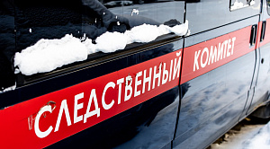 Магнитогорца задержали за жестокое убийство знакомого в СНТ