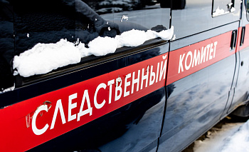 Магнитогорца задержали за жестокое убийство знакомого в СНТ