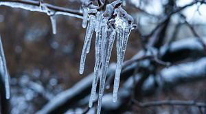 Выходные в Челябинской области пройдут без морозов