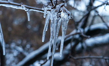 Выходные в Челябинской области пройдут без морозов