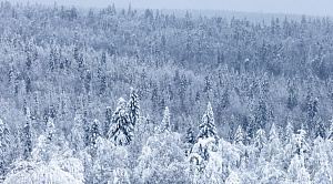 В нацпарках Челябинской области спасли 10 человек за время новогодних каникул