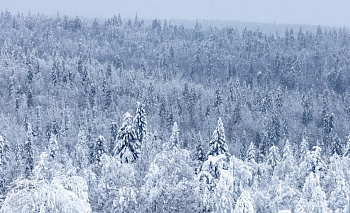 В нацпарках Челябинской области спасли 10 человек за время новогодних каникул
