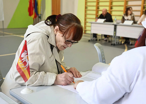 Больше 20% южноуральцев проголосовали в первый день