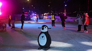 Каток в парке Челябинска перестанет работать из-за лютых морозов