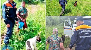 Спасатели двое суток искали пенсионерку, потерявшуюся при сборе ягод в Миньяре