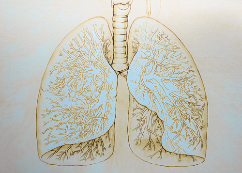 Вернуть дыханию свободу: формула челябинского пульмонолога