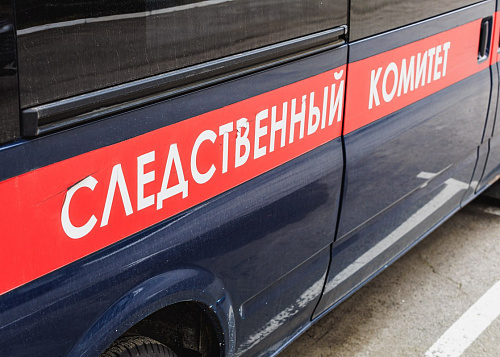 СК завел уголовное дело из-за отравления школьников шаурмой в Челябинске