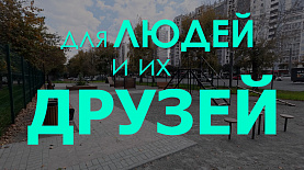 В Челябинске становится больше площадок для собак