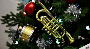 Сотня юных южноуральцев побывали на главной ёлке страны в Кремле