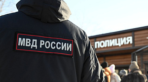 Снежинские полицейские научили младшеклассников не вестись на уловки мошенников