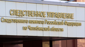 Бастрыкин поручил доложить о деле после падения шифера на девочку в Челябинске