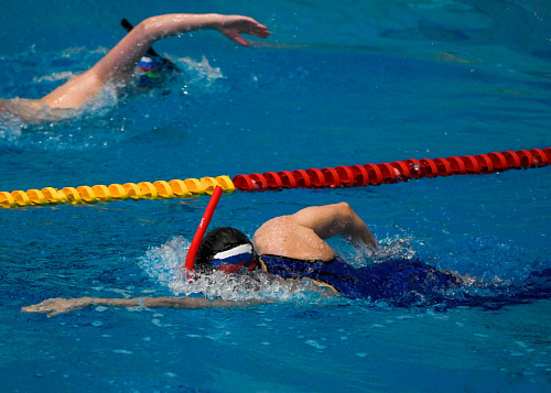 Справка в бассейн для ребенка: что нужно знать челябинцам