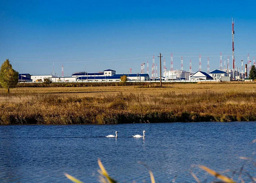 Благодаря нефтепроводчикам рыбы прибавилось