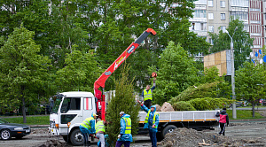 Судьбу дворов Челябинской области теперь вершат сами жители