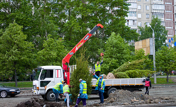 Судьбу дворов Челябинской области теперь вершат сами жители