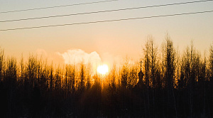 Мертвого мужчину без одежды нашли в парке Челябинской области