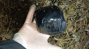 Челябинец спрятал почти 400 грамм наркотика в ПКиО им Гагарина