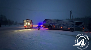 Пассажирский автобус съехал в кювет на дороге под Челябинском