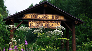 Александр Решетов стал новым директором нацпарка «Зюраткуль»