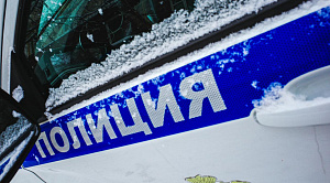 В Челябинске полицейские нашли заблудившуюся в лесу женщину