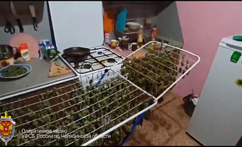 Челябинскому садоводу-затворнику пришлось отвечать за наркополяну