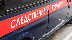 В Челябинской области возбудили дело после избиения школьника педагогом