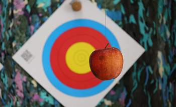 Не долетело: кыштымские силовики сбили арбалетную посылку с запрещёнкой