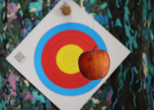 Не долетело: кыштымские силовики сбили арбалетную посылку с запрещёнкой