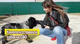 Кинологи отправили собак на СВО 