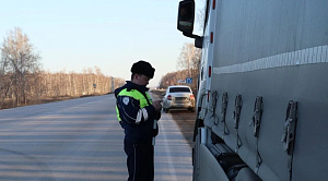 В Челябинской области раскрыли более 200 преступлений за один день