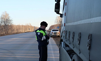 В Челябинской области раскрыли более 200 преступлений за один день