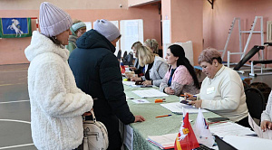 Челябинские эксперты обсудили перевод голосования в электронный формат