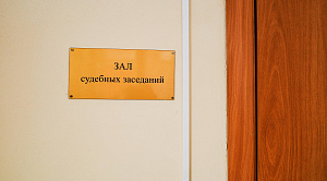 52-летнего водителя из Рощино отправили в колонию за гибель девочки на дороге