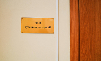 52-летнего водителя из Рощино отправили в колонию за гибель девочки на дороге